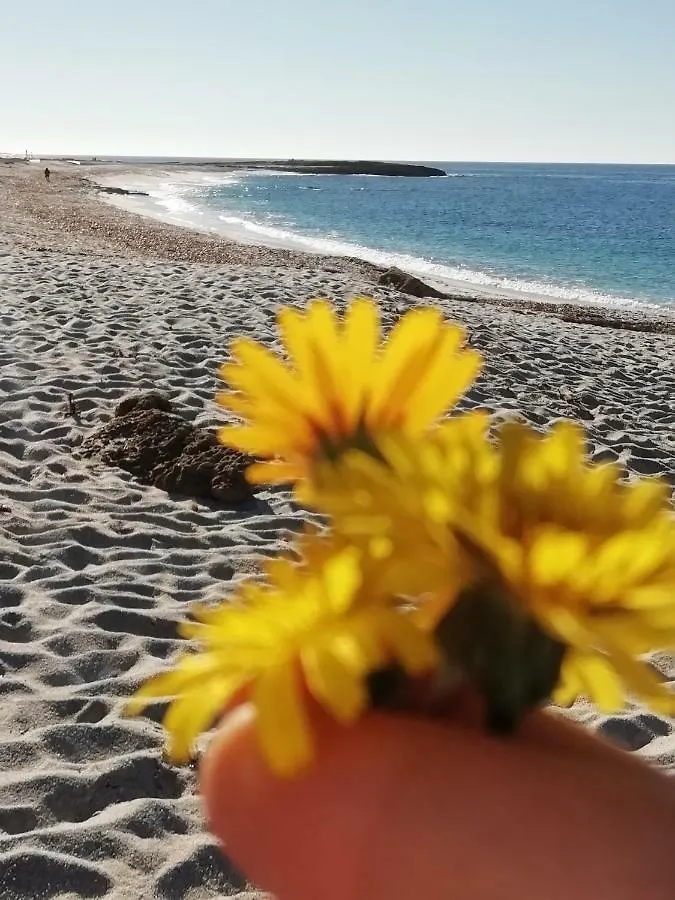 Sardinia For You Oristano